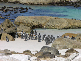 South Africa cycling holiday, Western Cape